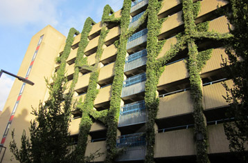 Het dak op tijdens Rotterdamse Dakendagen