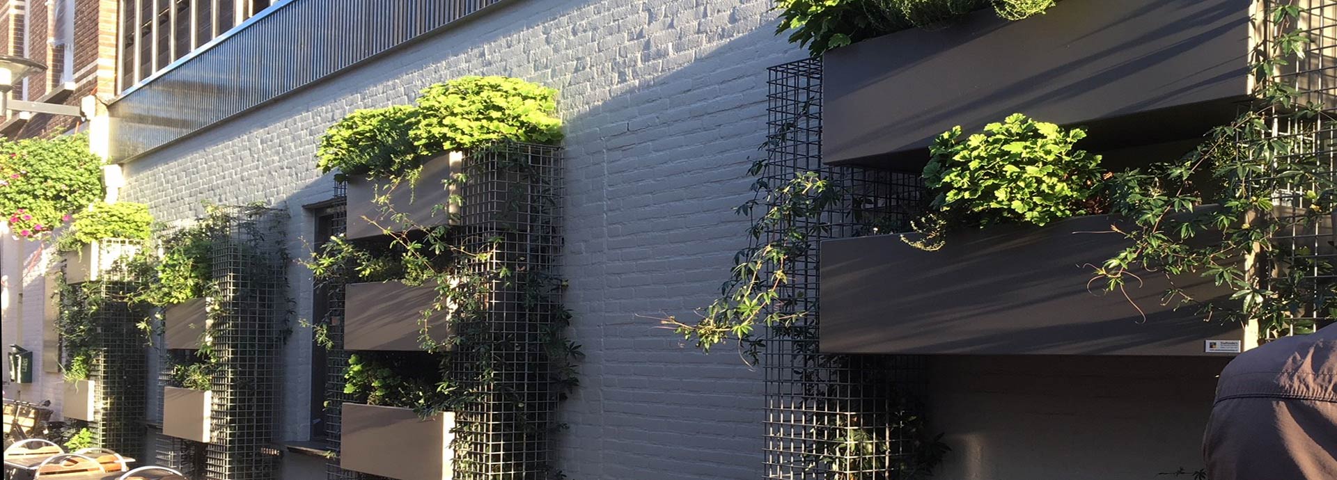 Vertical, ediable garden with FirmusPERGOLA 