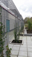 Aardoom Hoveniers' FirmusPERGOLA project