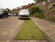 FirmusGRASS as flooding protection