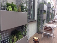 Vertical, ediable garden with FirmusPERGOLA