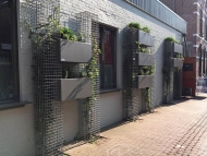 Vertical, ediable garden with FirmusPERGOLA