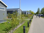 green carpark of FirmusGRASS