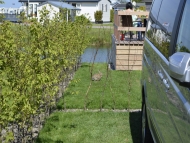 green carpark of FirmusGRASS