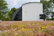 Van zwart EPDM dakvlak naar gekleurde bloemenweide!